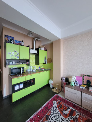 Продам однокомнатную (1-комн.) квартиру, Верхняя Лысая гора (Цирк тер. СНТ) ул, 26б, Сочи г