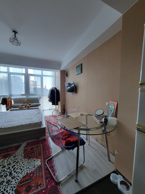 Продам однокомнатную (1-комн.) квартиру, Верхняя Лысая гора (Цирк тер. СНТ) ул, 26б, Сочи г