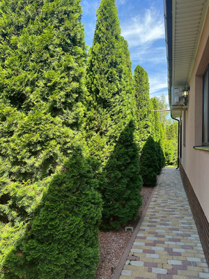 Продам дом, 17 линия ул, Чалтырь с, 0 км от города