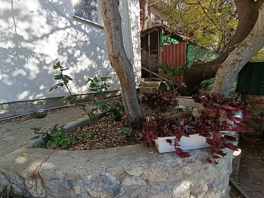 Продам дом, Кипарисная ул, 62А, Береговое пгт, 0 км от города