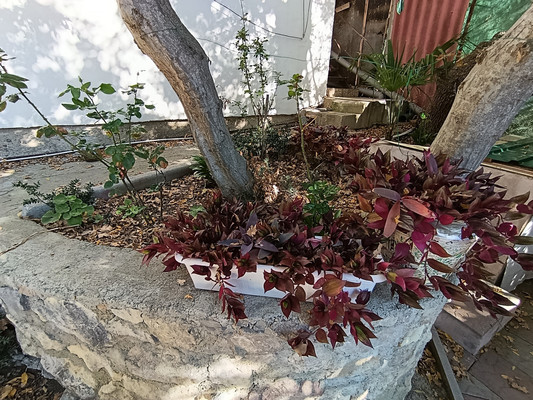 Продам дом, Кипарисная ул, 62А, Береговое пгт, 0 км от города