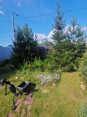 Продам дом, ТСН Земляничное тер, 117, Курниково д, 0 км от города