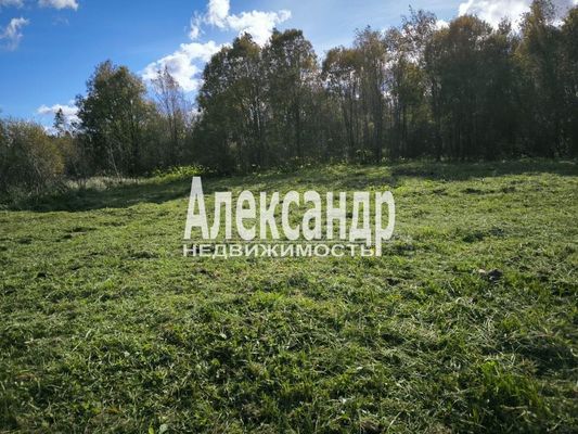 Продам участок 30 соток, ИЖС, Бегуницы д, 80 км от города