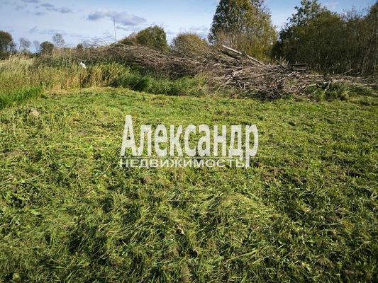 Продам участок 30 соток, ИЖС, Бегуницы д, 80 км от города