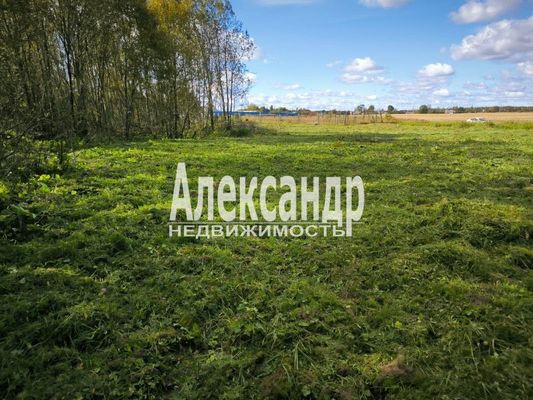 Продам участок 30 соток, ИЖС, Бегуницы д, 80 км от города