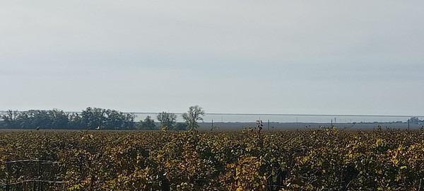 Продам дом, Виноградная ул, 12а, Уташ п, 0 км от города