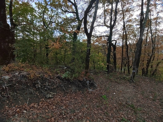 Продам участок 5,5 соток, Фермерское хоз., Мира ул, 56, Туапсе г, 0 км от города