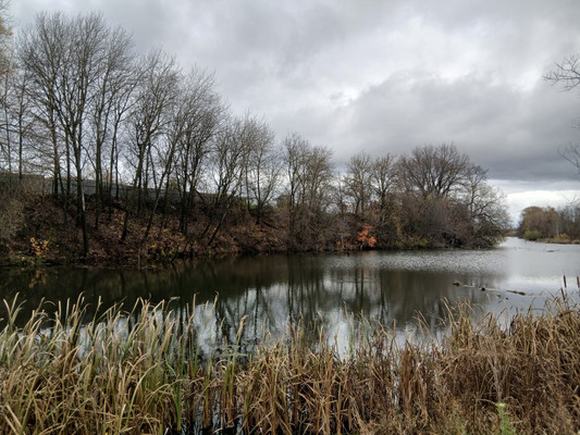 Продам дом, Центральная ул, Собчаково с, 0 км от города