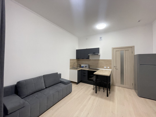 Сдам однокомнатную (1-комн.) квартиру, Ручьевский пр-кт, 20, Мурино п