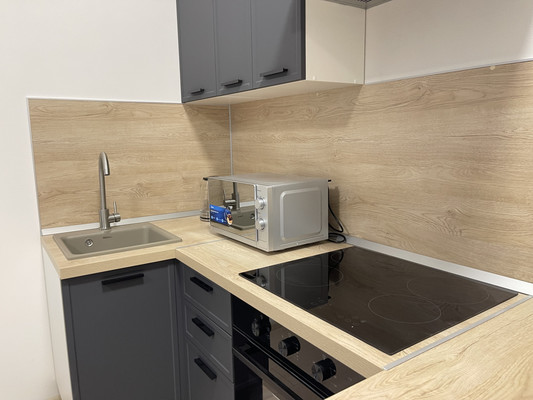 Сдам однокомнатную (1-комн.) квартиру, Ручьевский пр-кт, 20, Мурино п