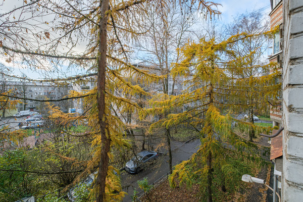 Продам многокомнатную квартиру, Танкиста Хрустицкого ул, 116А, Санкт-Петербург г