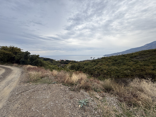 Продам участок 14 соток, ИЖС, Красных галстуков ул, Гурзуф пгт, 0 км от города