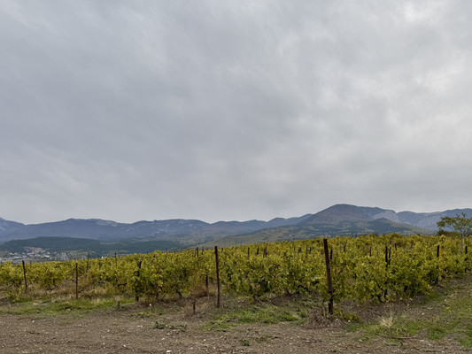 Продам участок 14 соток, ИЖС, Красных галстуков ул, Гурзуф пгт, 0 км от города