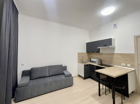 Сдам однокомнатную (1-комн.) квартиру, Ручьевский пр-кт, 20, Мурино п