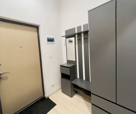 Сдам однокомнатную (1-комн.) квартиру, Ручьевский пр-кт, 20, Мурино п