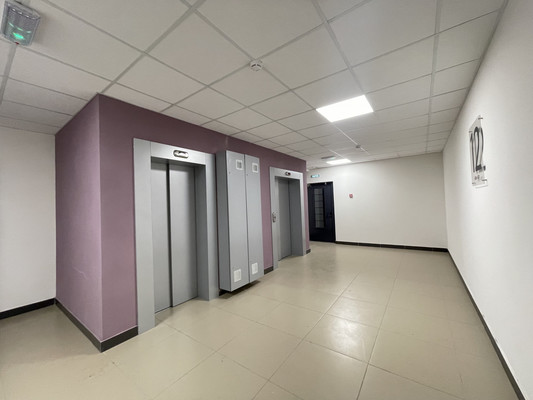 Сдам однокомнатную (1-комн.) квартиру, Ручьевский пр-кт, 20, Мурино п