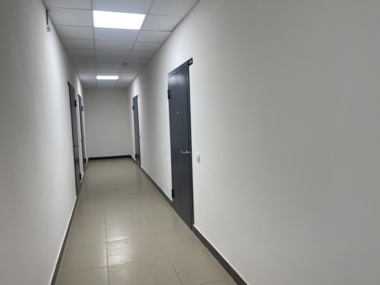 Сдам однокомнатную (1-комн.) квартиру, Ручьевский пр-кт, 20, Мурино п