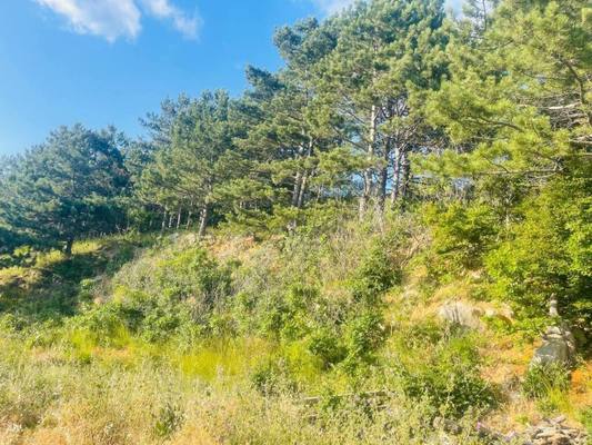 Продам участок 14 соток, ИЖС, Старое Севастопольское ш, Ялта г, 0 км от города