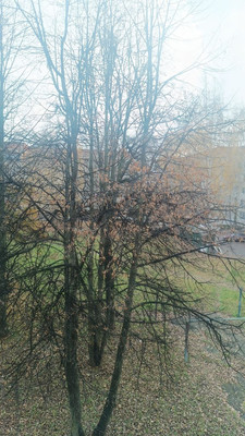 Продам однокомнатную (1-комн.) квартиру, Прохорова ул, 32а, Йошкар-Ола г