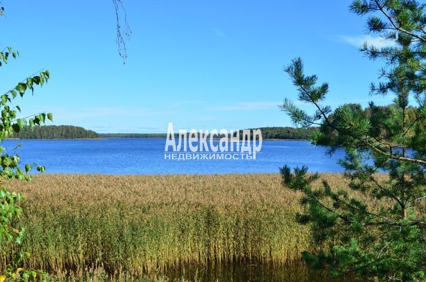 Продам участок 25 соток, ИЖС, Остров п, 140 км от города