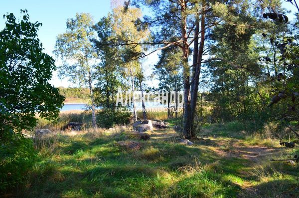 Продам участок 25 соток, ИЖС, Остров п, 140 км от города