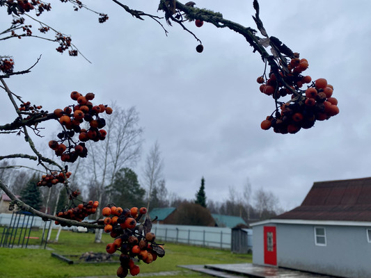 Продам дом, Луч тер. СНТ, Борисова Грива массив, 0 км от города