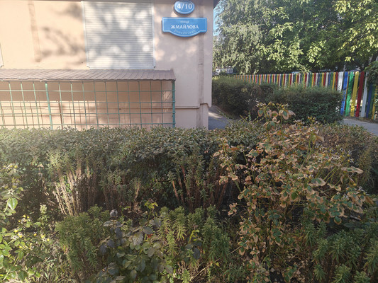 Продам аптеку 58 м2, Жмайлова ул, 4/10, Ростов-на-Дону г