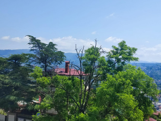 Продам трехкомнатную (3-комн.) квартиру, Виноградная ул, 55/1, Беранда с