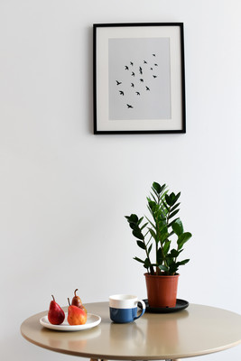 Продам однокомнатную (1-комн.) квартиру, Авиаконструкторов пр-кт, 54, Санкт-Петербург г