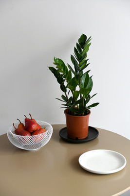 Продам однокомнатную (1-комн.) квартиру, Авиаконструкторов пр-кт, 54, Санкт-Петербург г