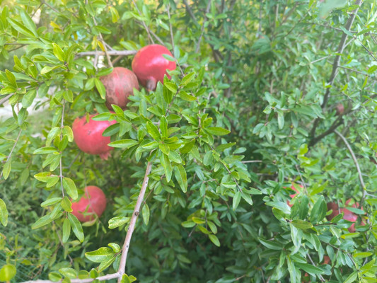 Продам дом, 3Б мкр, 51, Анапа г, 0 км от города