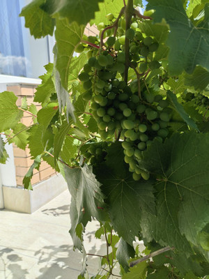 Продам дом, 3Б мкр, 51, Анапа г, 0 км от города