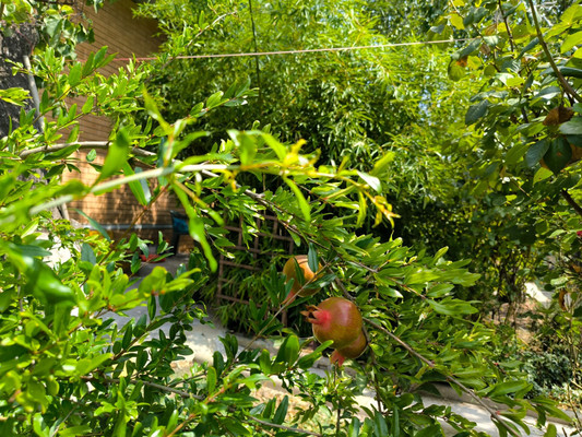 Продам дом, 3Б мкр, 51, Анапа г, 0 км от города