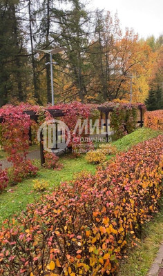 Продам двухкомнатную (2-комн.) квартиру, Андрея Тарковского б-р, 9, Внуковское п