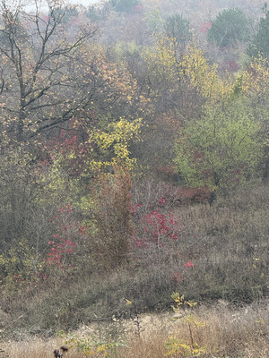 Продам участок 5,5 соток, ИЖС, Кедровая ул, Супсех с, 0 км от города