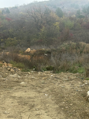 Продам участок 5,5 соток, ИЖС, Кедровая ул, Супсех с, 0 км от города