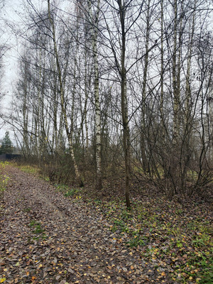 Продам участок 30 соток, ИЖС, Лесная ул, Трошково д, 0 км от города