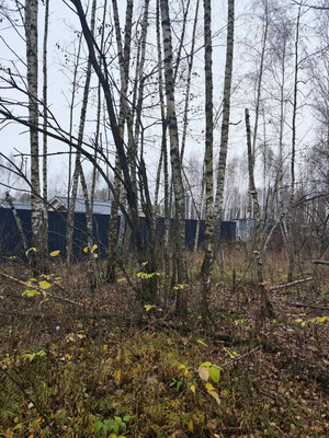 Продам участок 30 соток, ИЖС, Лесная ул, Трошково д, 0 км от города