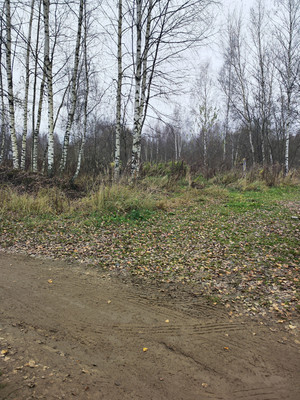 Продам участок 30 соток, ИЖС, Лесная ул, Трошково д, 0 км от города