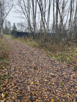 Продам участок 30 соток, ИЖС, Лесная ул, Трошково д, 0 км от города