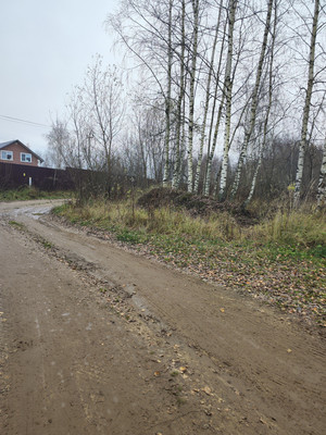 Продам участок 30 соток, ИЖС, Лесная ул, Трошково д, 0 км от города