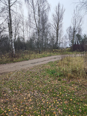 Продам участок 30 соток, ИЖС, Лесная ул, Трошково д, 0 км от города