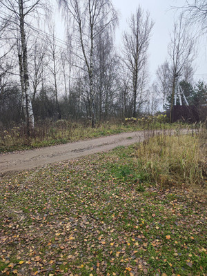 Продам участок 30 соток, ИЖС, Лесная ул, Трошково д, 0 км от города