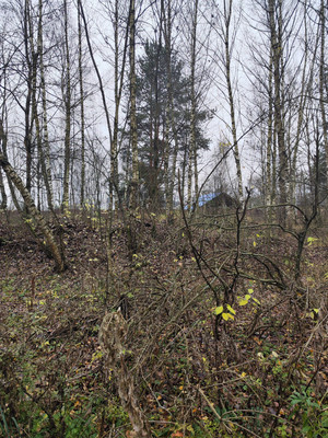 Продам участок 30 соток, ИЖС, Лесная ул, Трошково д, 0 км от города