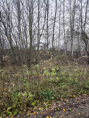 Продам участок 30 соток, ИЖС, Лесная ул, Трошково д, 0 км от города