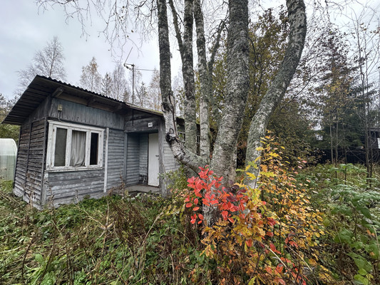 Продам участок 6,1 соток, Фермерское хоз., Бор п, 0 км от города