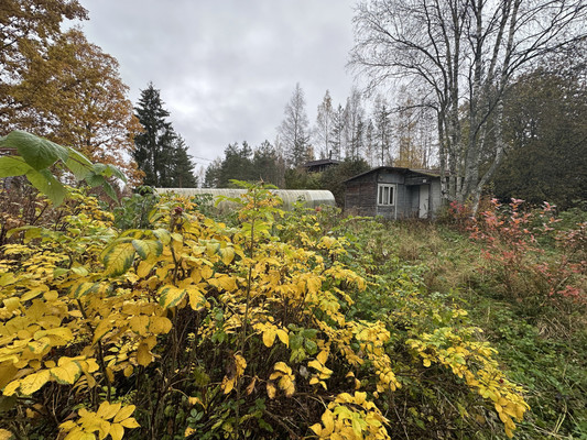 Продам участок 6,1 соток, Фермерское хоз., Бор п, 0 км от города