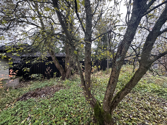 Продам участок 6,1 соток, Фермерское хоз., Бор п, 0 км от города