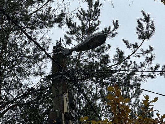 Продам участок 6,1 соток, Фермерское хоз., Бор п, 0 км от города