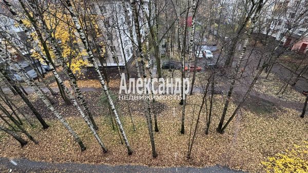 Продам однокомнатную (1-комн.) квартиру, Светлановский пр-кт, 119, Санкт-Петербург г